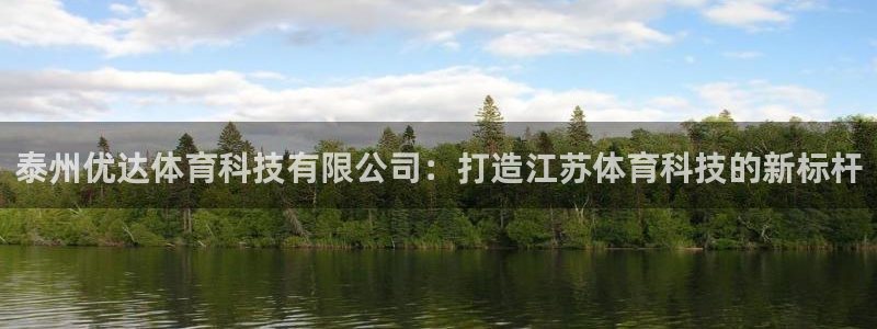 泰州优达体育科技有限公司：打造江苏体育科技的新标杆