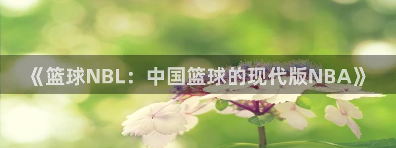 《篮球NBL：中国篮球的现代版NBA》
