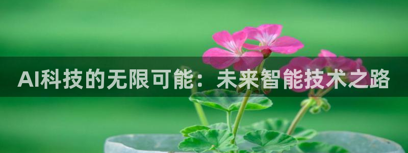 AI科技的无限可能：未来智能技术之路