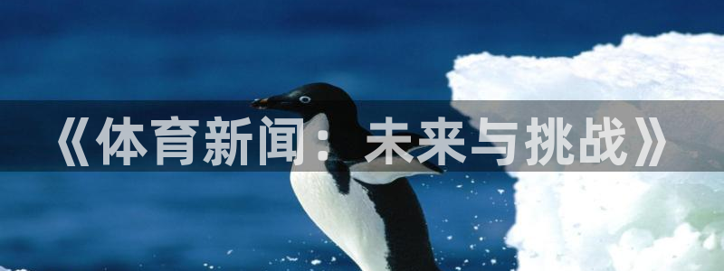 《体育新闻：未来与挑战》