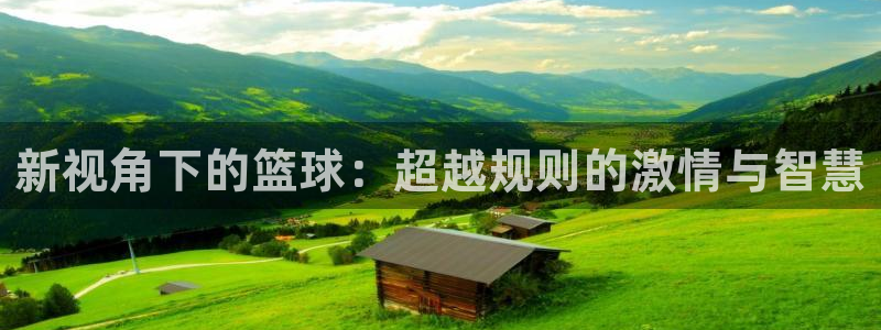 新视角下的篮球：超越规则的激情与智慧